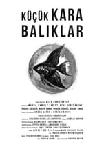 Маленькая чёрная рыбка